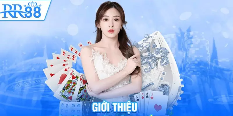 Giới thiệu RR88 - Tìm hiểu mọi điều